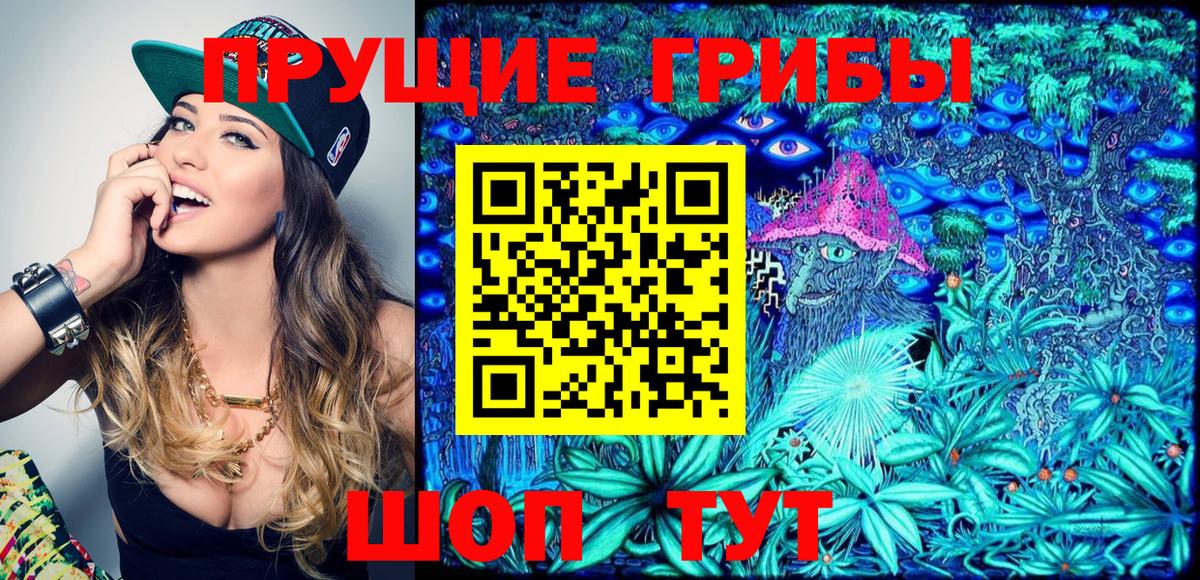 Галлюциногенные грибы Psilocybe  Вход с VPN  Вольск 