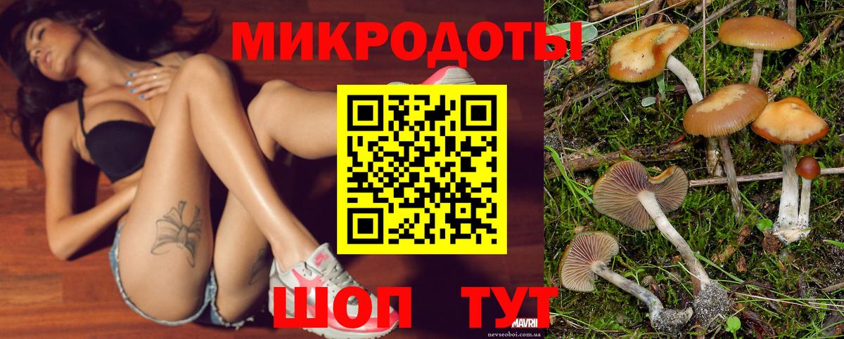 Псилоцибиновые грибы MAGIC MUSHROOMS Вольск